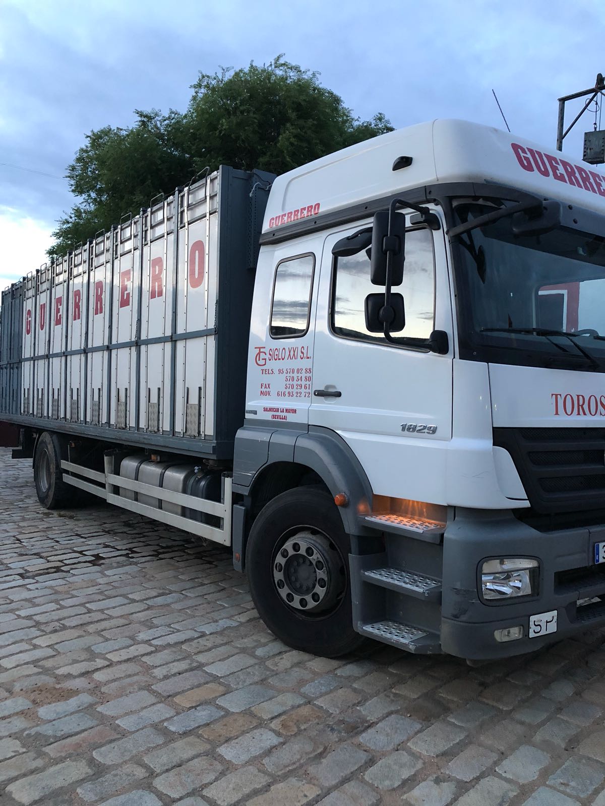 Madrid - Embarque de los toros de Partido de Resina - Lunes 28 de mayo de 2018