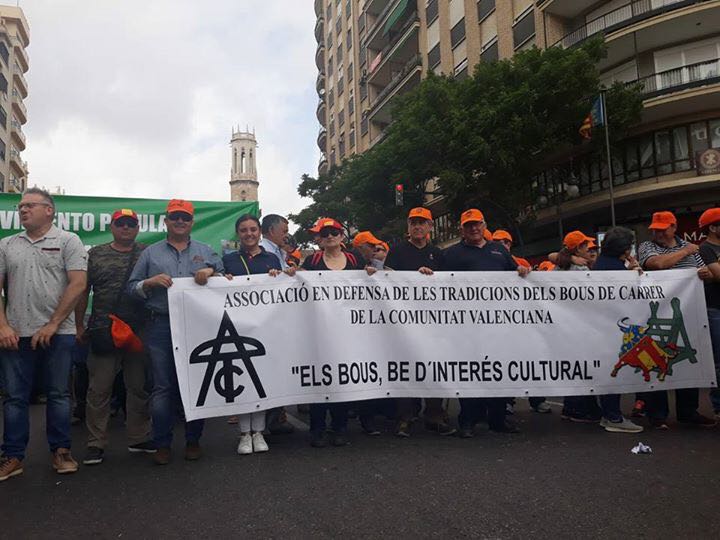 Valencia - El mundo del toro en la manifestación en defensa del mundo rural - Sábado 26 de mayo de 2018