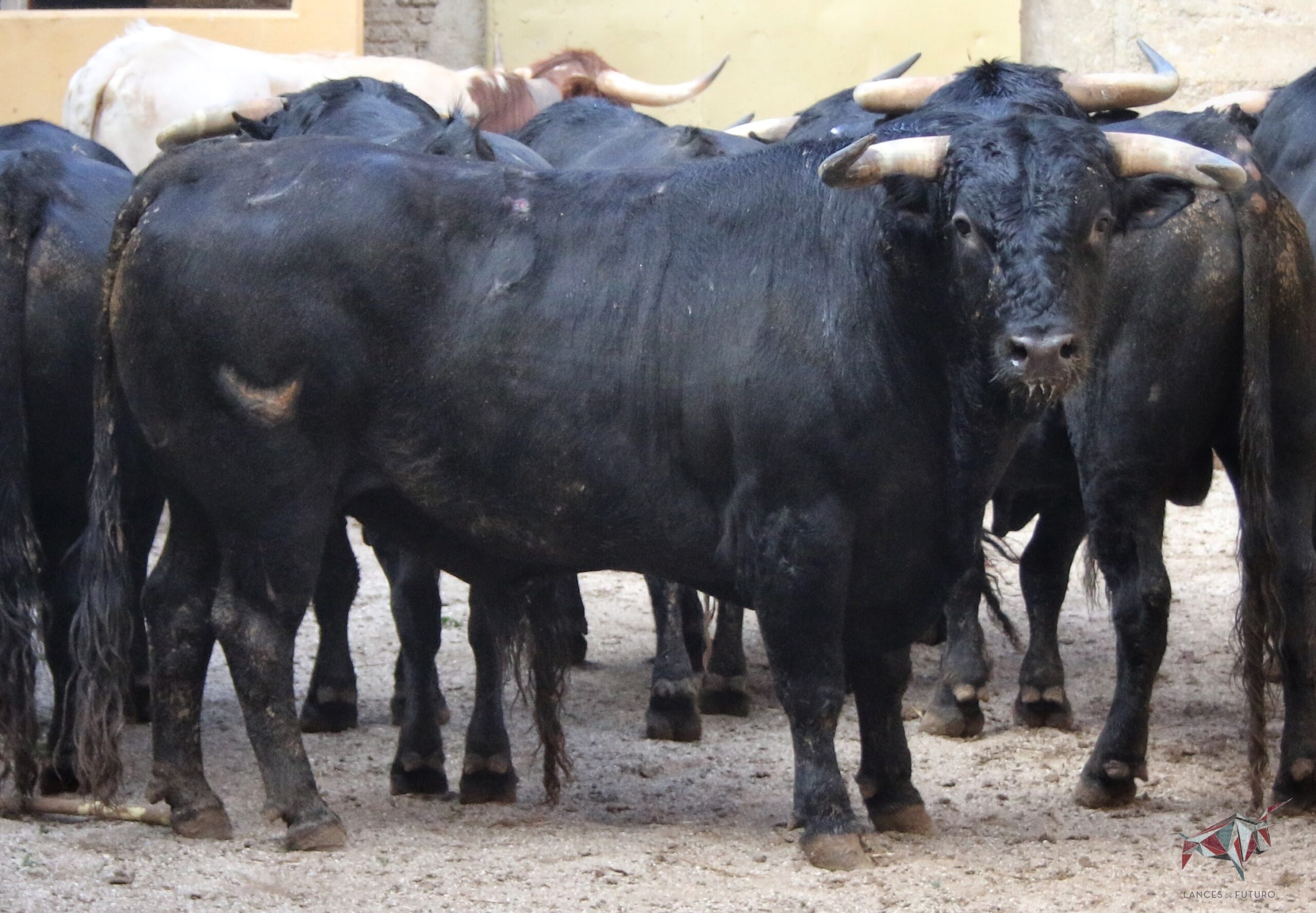 Zafrero descorcha la feria en Granada