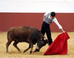 Iván Vicente, tentadero en Fuente Ymbro (Abril de 2018)