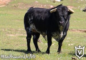 Toros de Juan Pedro Domecq para el sábado, 19 de mayo.
