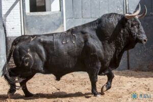 Madrid, San Isidro, 10 de mayo de 2018. Corrida de Fuente Ymbro