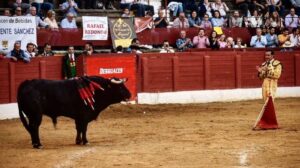 Andújar (Jaén) - Sábado 12 de mayo de 2018