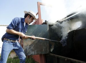 Herradero en casa de Alejandro Talavante. Mayo de 2018