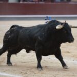 Madrid, 13 de mayo de 2018