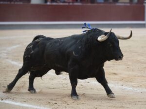 Madrid, 13 de mayo de 2018