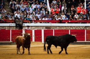 Brihuega, 19 de mayo de 2018