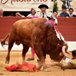Vic-Fesensac (Francia), lunes 21 de mayo de 2018. Toros de Pedraza de Yeltes para Curro Díaz, Daniel Luque y Emilio de Justo