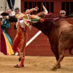 Vic-Fesensac (Francia), lunes 21 de mayo de 2018. Toros de Pedraza de Yeltes para Curro Díaz, Daniel Luque y Emilio de Justo