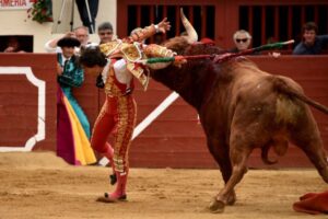 Vic-Fesensac (Francia), lunes 21 de mayo de 2018. Toros de Pedraza de Yeltes para Curro Díaz, Daniel Luque y Emilio de Justo