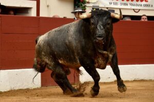 Vic-Fezensac (Francia) - Feria de Pentecostés - Matinal - Domingo 20 de mayo 2018