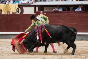 Madrid - Ricardo Torres en una reciente actuación en Las Ventas