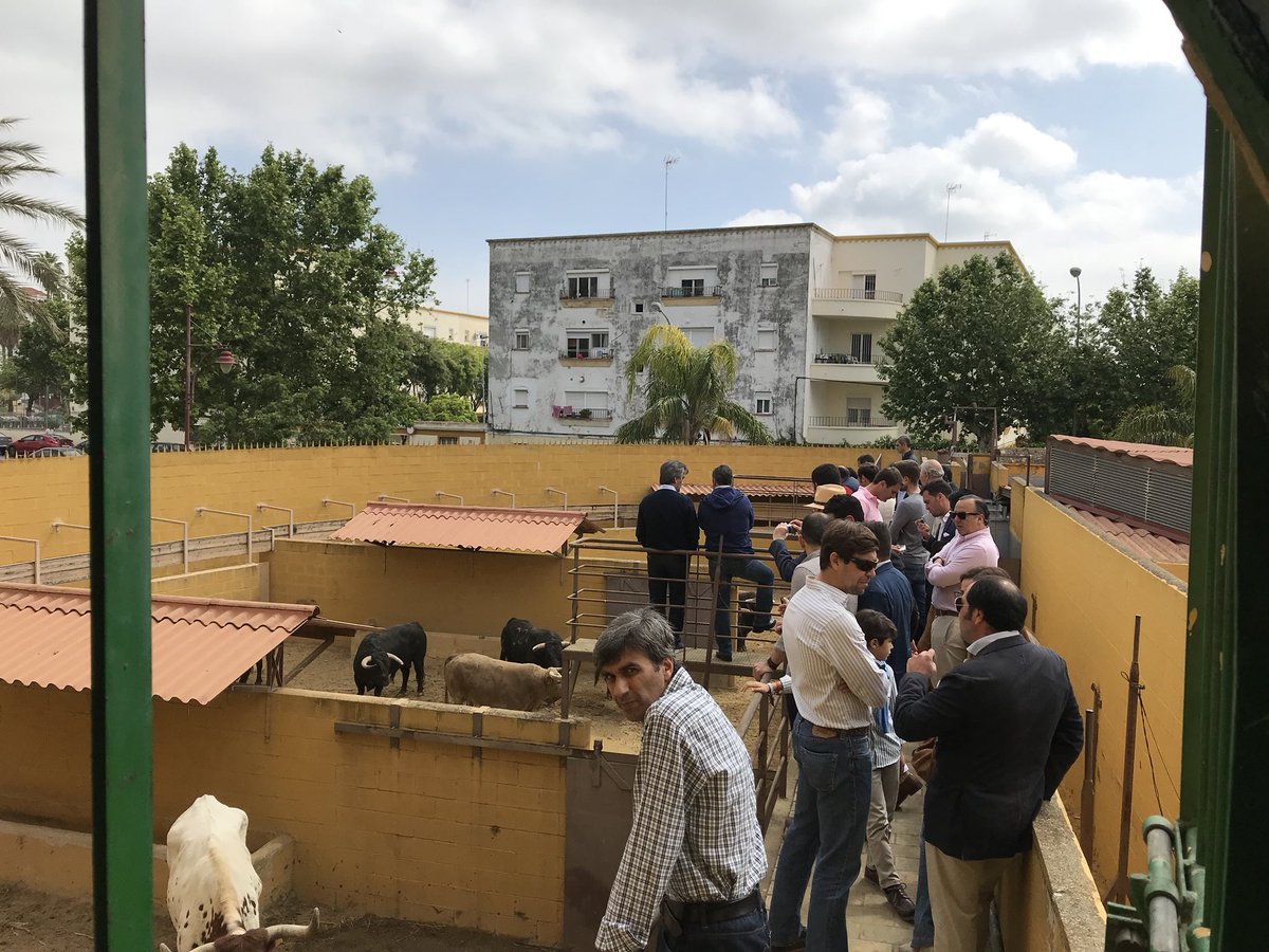 Seis de Núñez del Cuvillo para esta tarde en Jerez