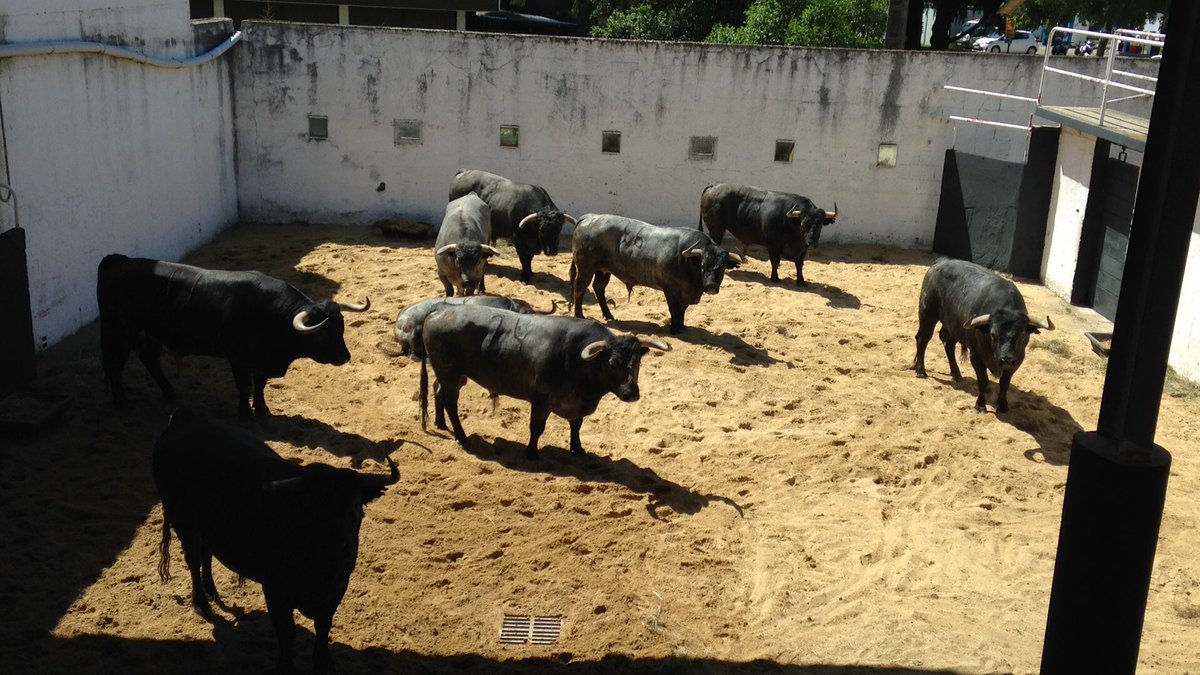 Majorico, de Partido de Resina, abre la feria de Nimes