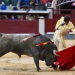 Madrid, 8 de junio de 2018