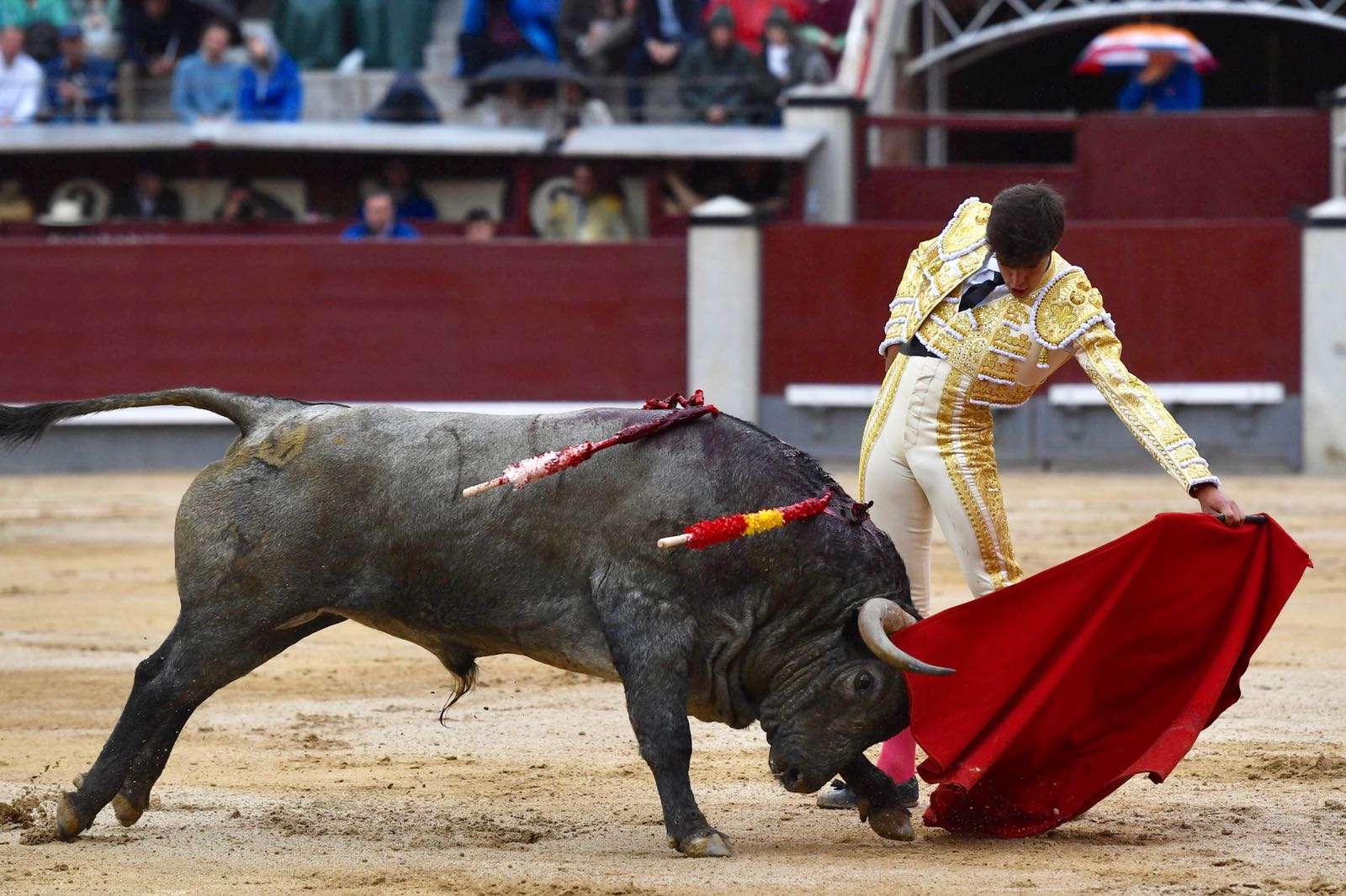 Madrid, 8 de junio de 2018