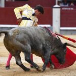 Madrid, 8 de junio de 2018