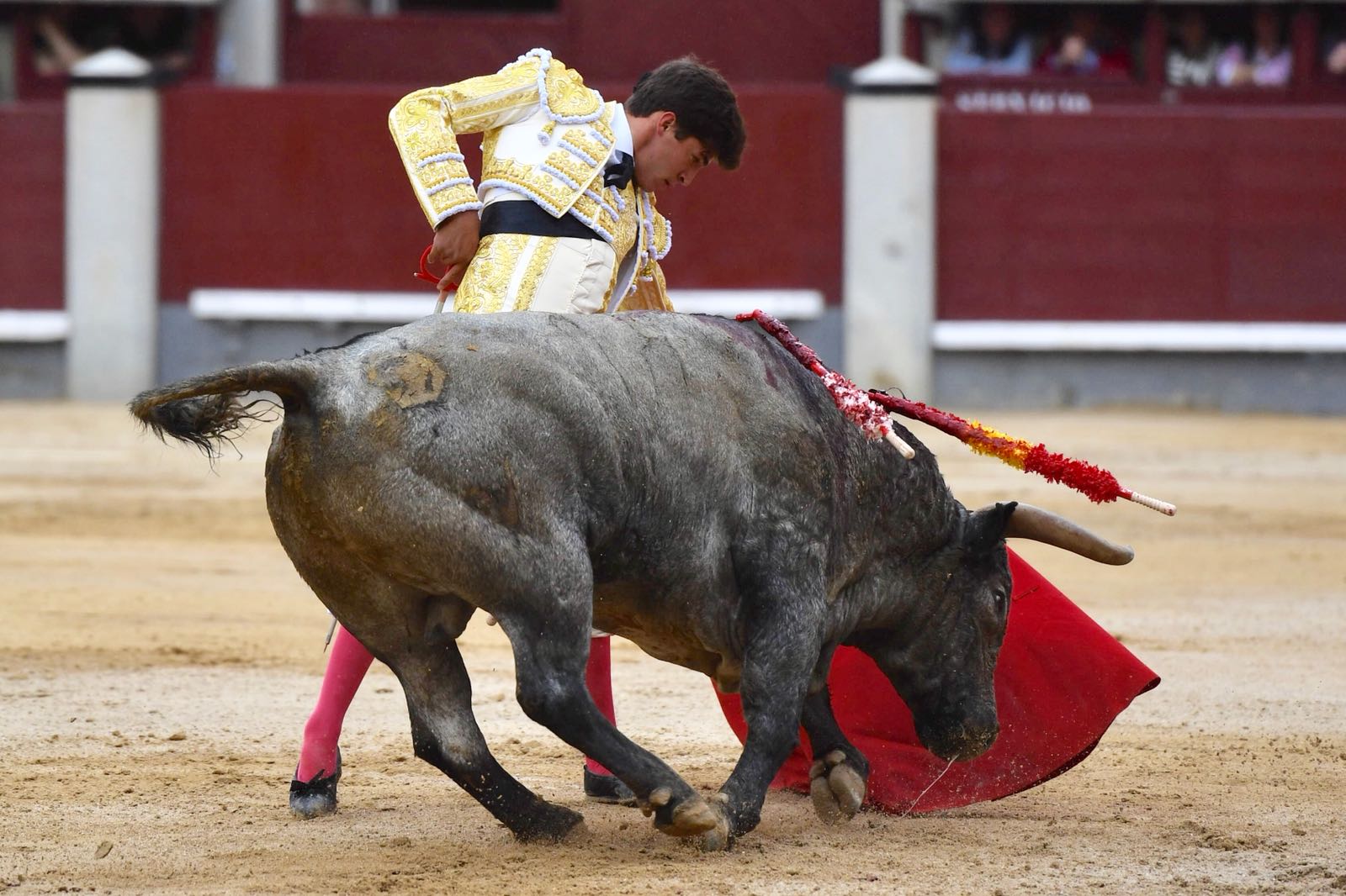 Madrid, 8 de junio de 2018