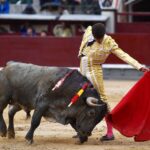 Madrid, 8 de junio de 2018