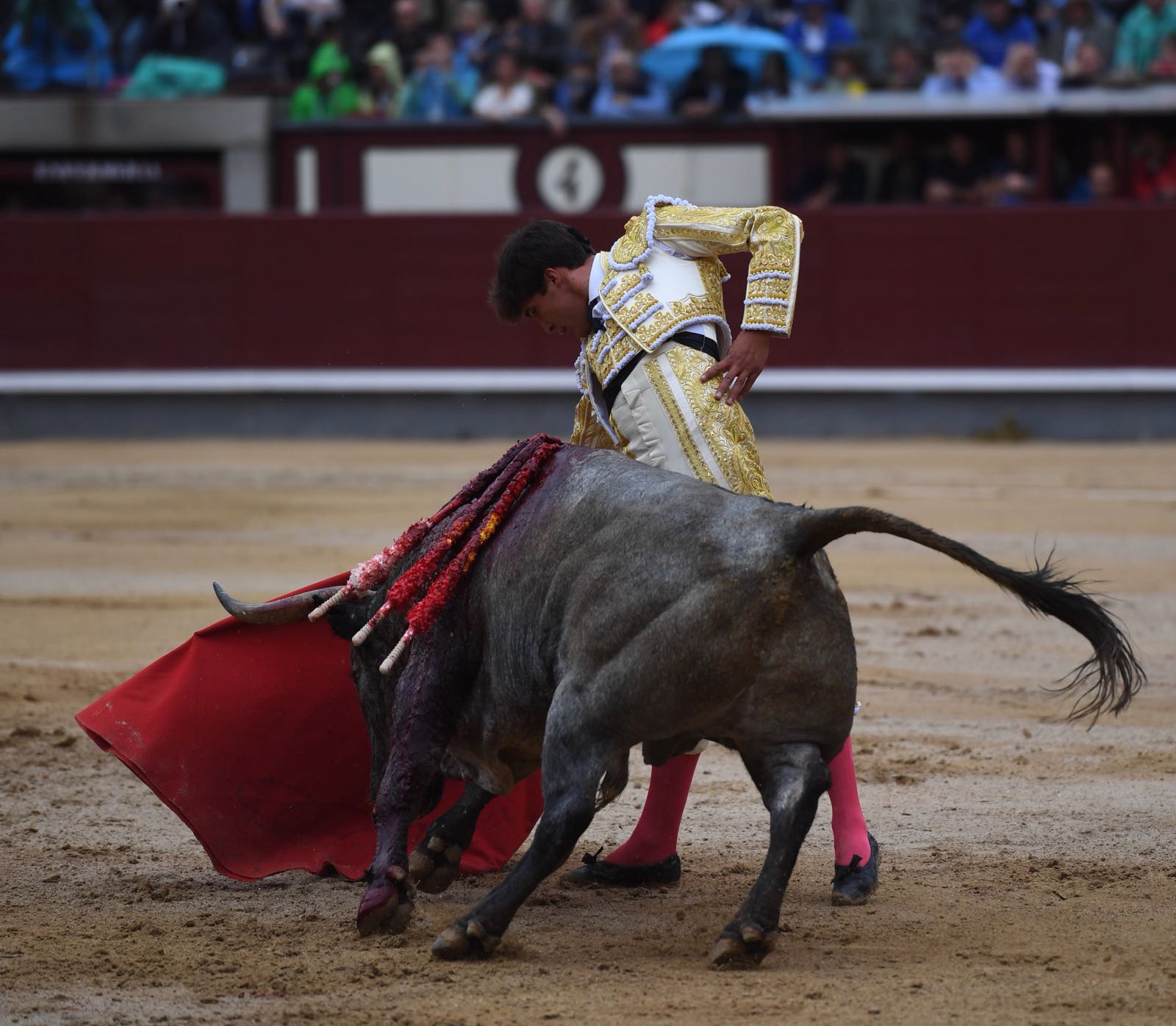 Madrid, 8 de junio de 2018