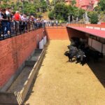 Algeciras, Feria Real, 28 de junio de 2018