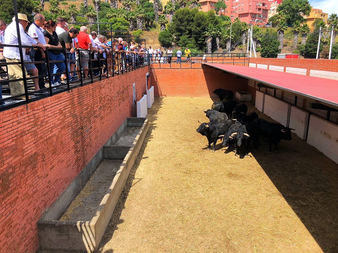 Algeciras, Feria Real, 28 de junio de 2018