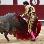 Cogida El Cid, Madrid 8 de junio de 2018