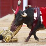 Cogida El Cid, Madrid 8 de junio de 2018