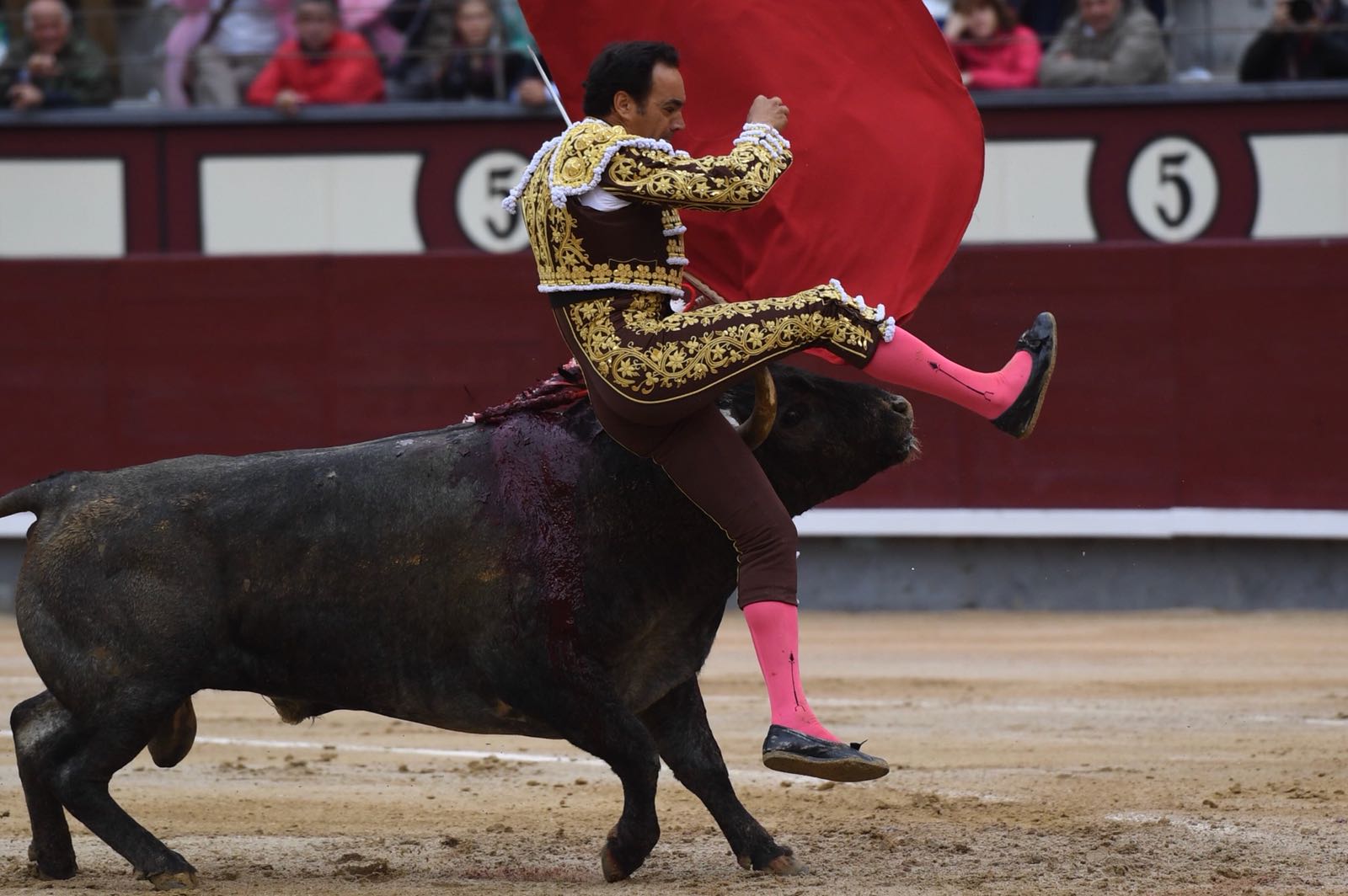 Cogida El Cid, Madrid 8 de junio de 2018