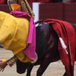 Cogida El Cid, Madrid 8 de junio de 2018