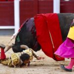 Cogida El Cid, Madrid 8 de junio de 2018