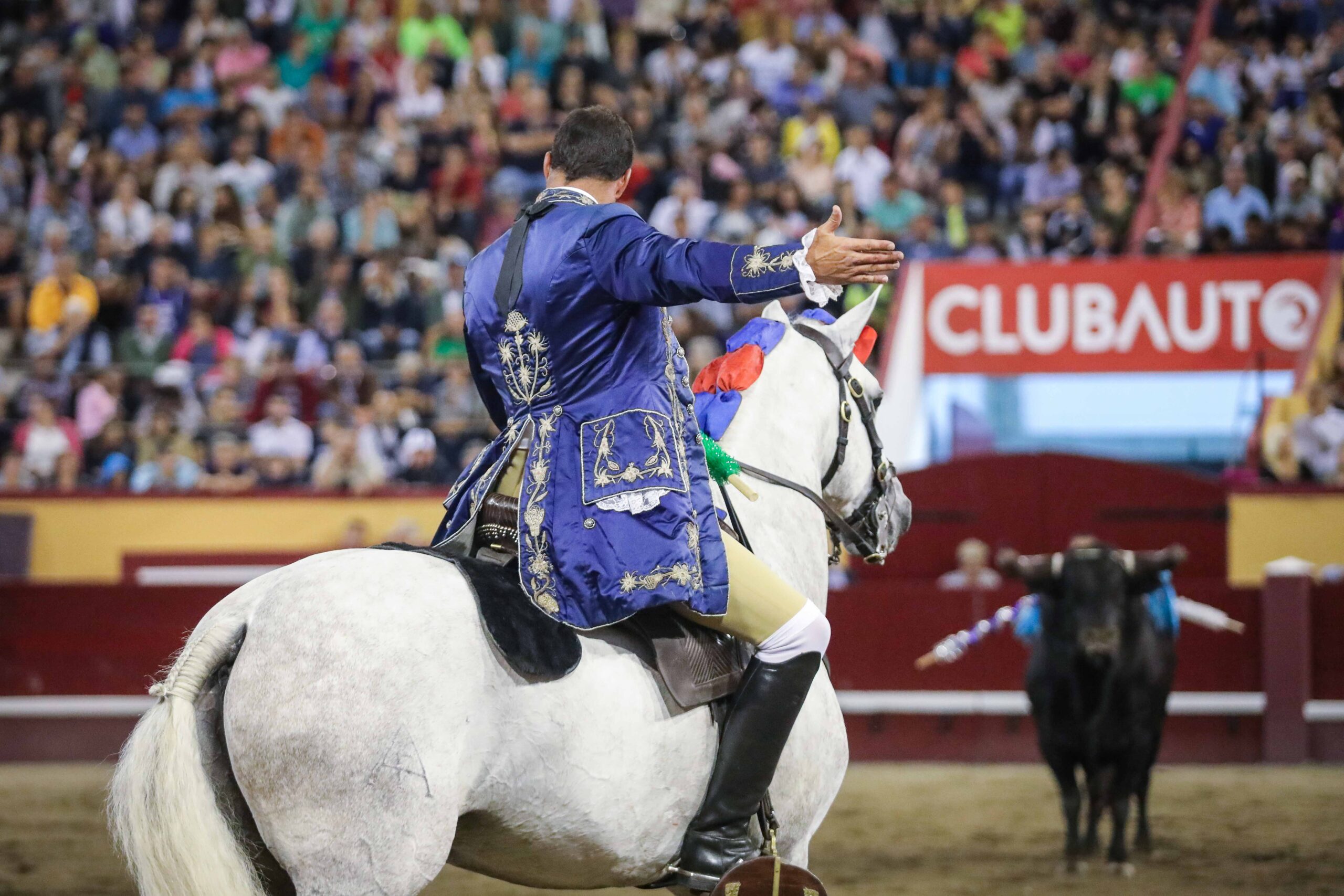 Angra do Heroísmo (Portugal) - Corrida de toros concurso - Viernes 29 de junio de 2018