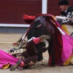 Cogida El Cid, Madrid 8 de junio de 2018