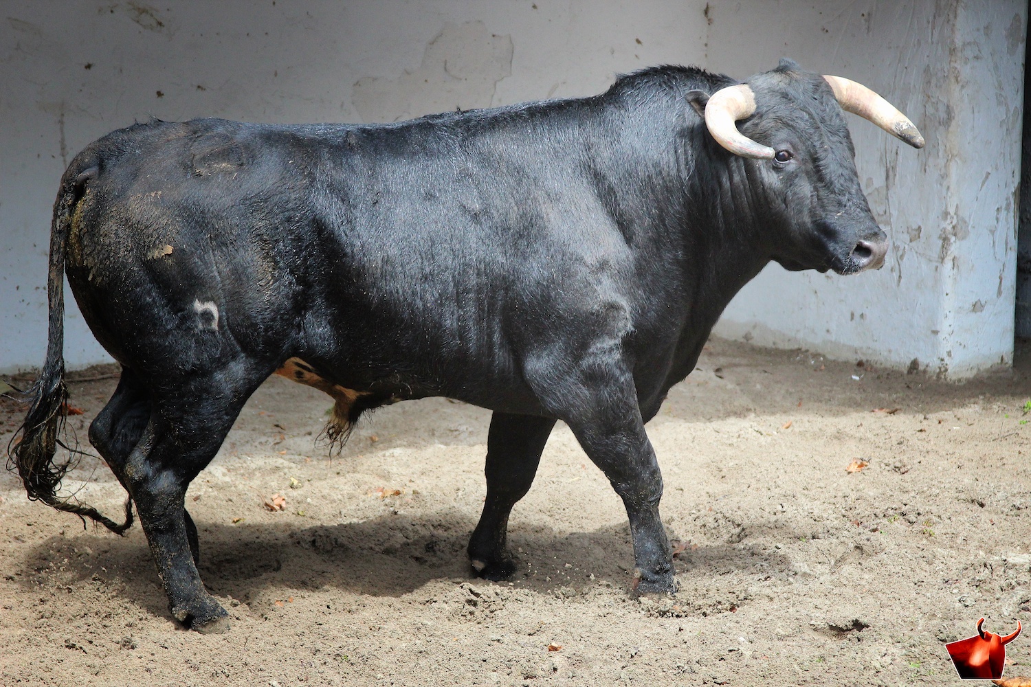 Sorteo, Bilbao 9 de junio de 2018