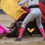 Cogida El Cid, Madrid 8 de junio de 2018