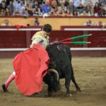 Granada, 3 de junio de 2018