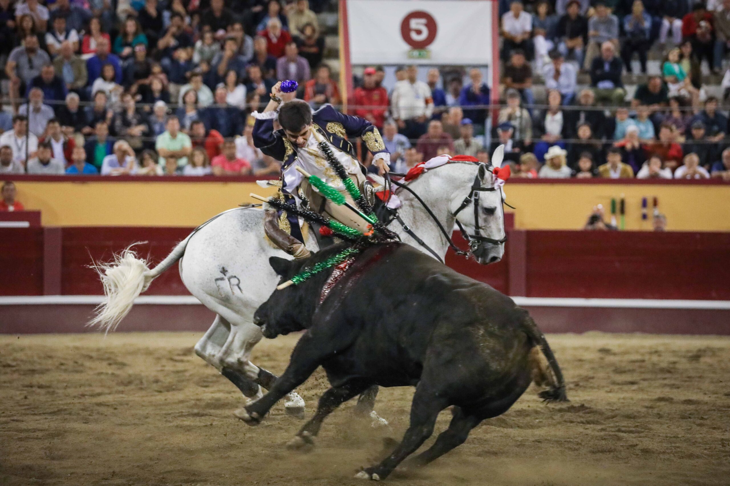 Angra do Heroísmo (Portugal) - Corrida de toros concurso - Viernes 29 de junio de 2018