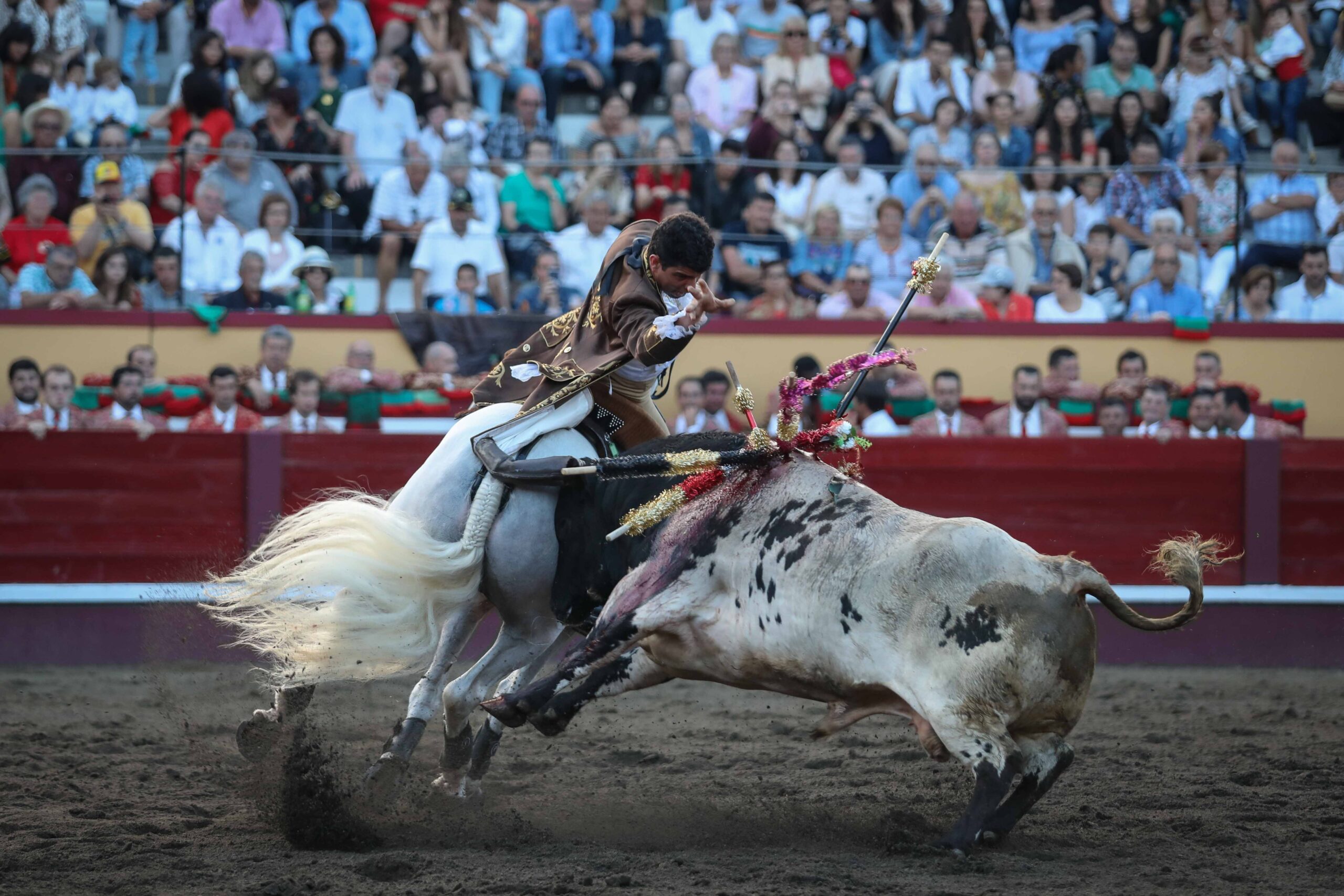 Angra do Heroísmo (Isla Terceira, Azores, Portugal), domingo 24 de junio de 2018. Primera de la Feria de Sanjoaninas. Corrida de rejones