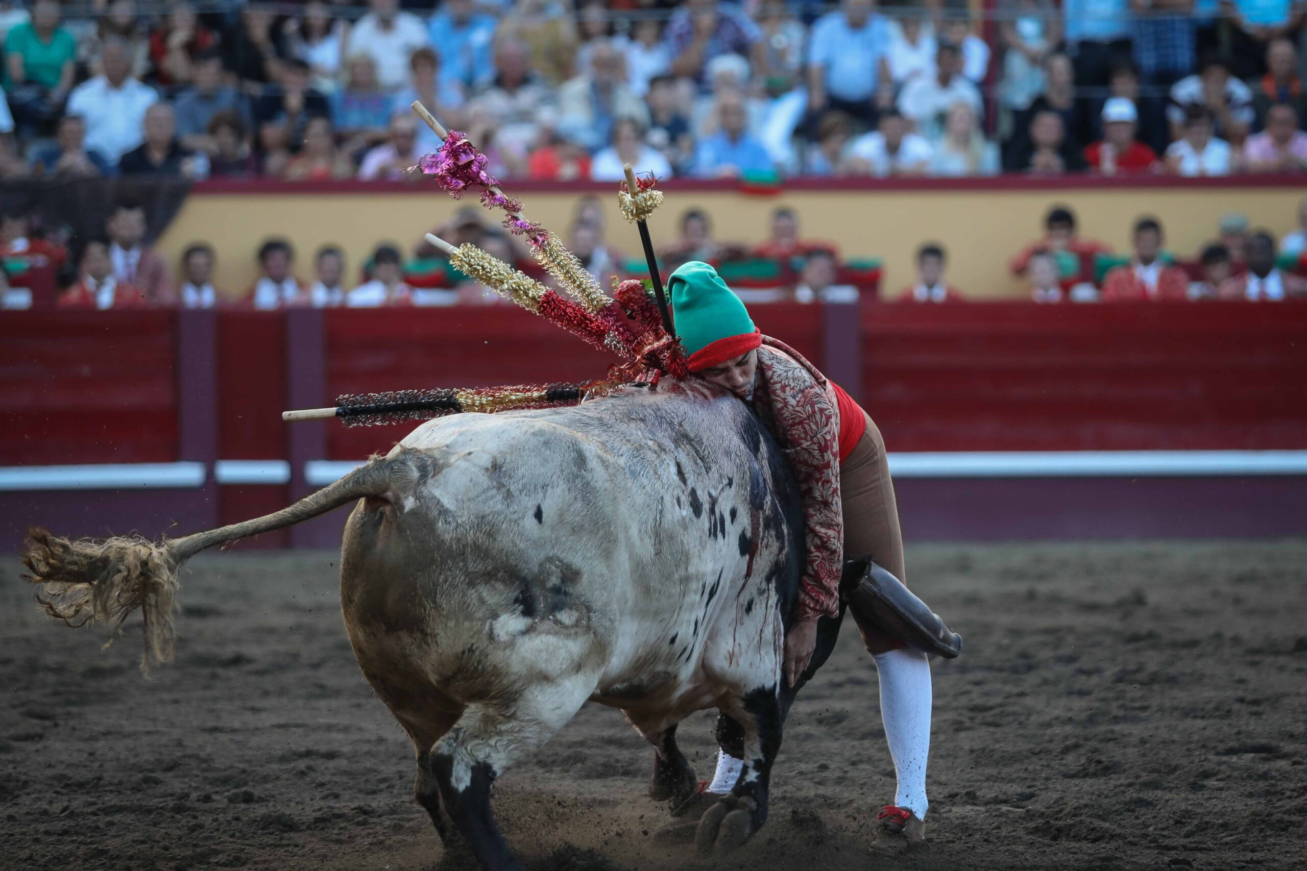 Angra do Heroísmo (Isla Terceira, Azores, Portugal), domingo 24 de junio de 2018. Primera de la Feria de Sanjoaninas. Corrida de rejones