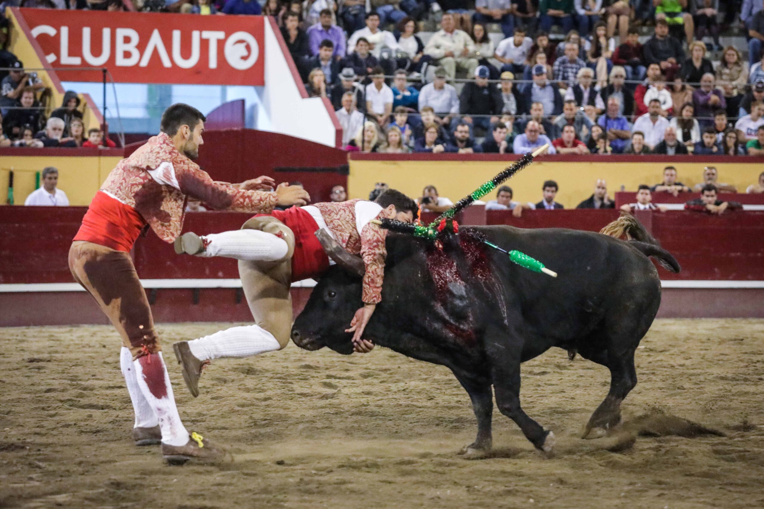 Angra do Heroísmo (Portugal) - Corrida de toros concurso - Viernes 29 de junio de 2018