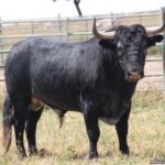 Granada, 3 de junio de 2018