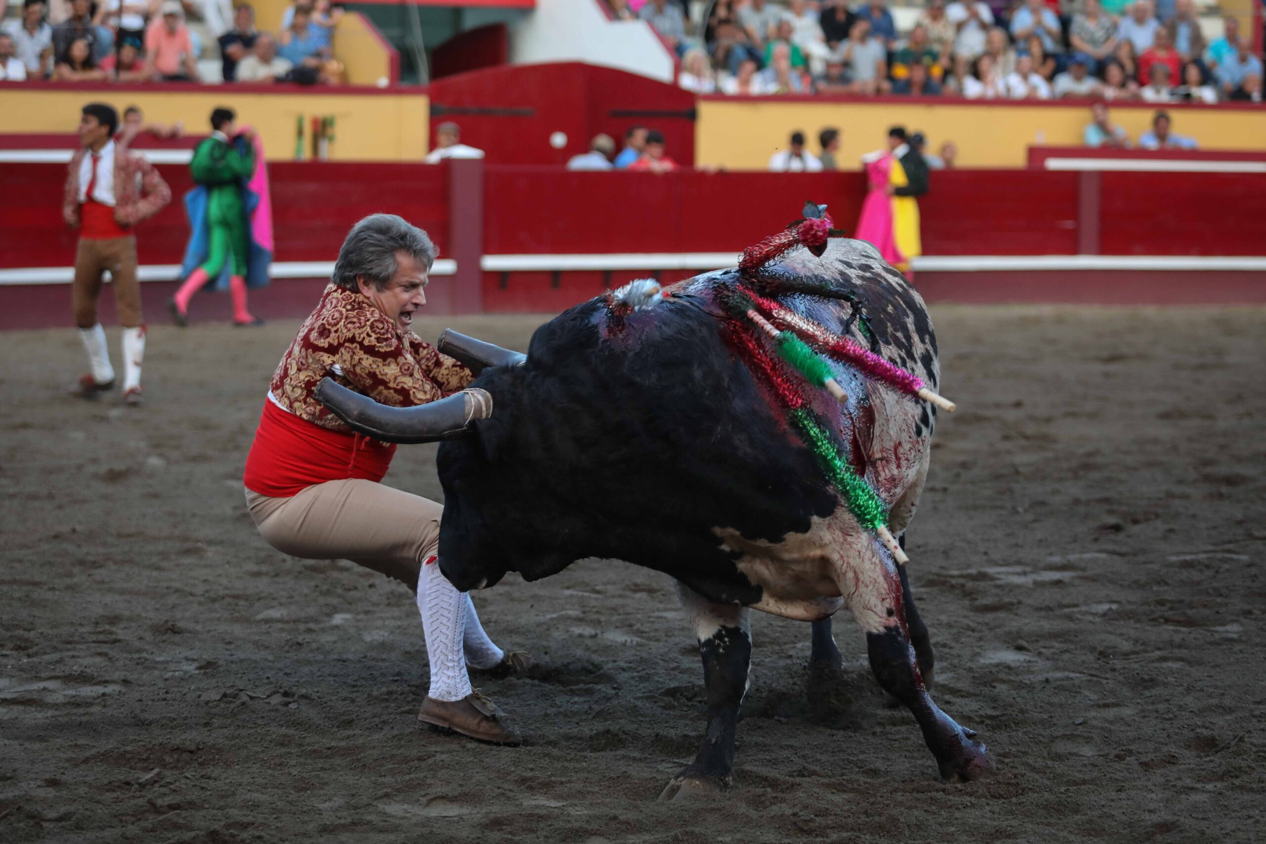 Angra do Heroísmo (Isla Terceira, Azores, Portugal), domingo 24 de junio de 2018. Primera de la Feria de Sanjoaninas. Corrida de rejones