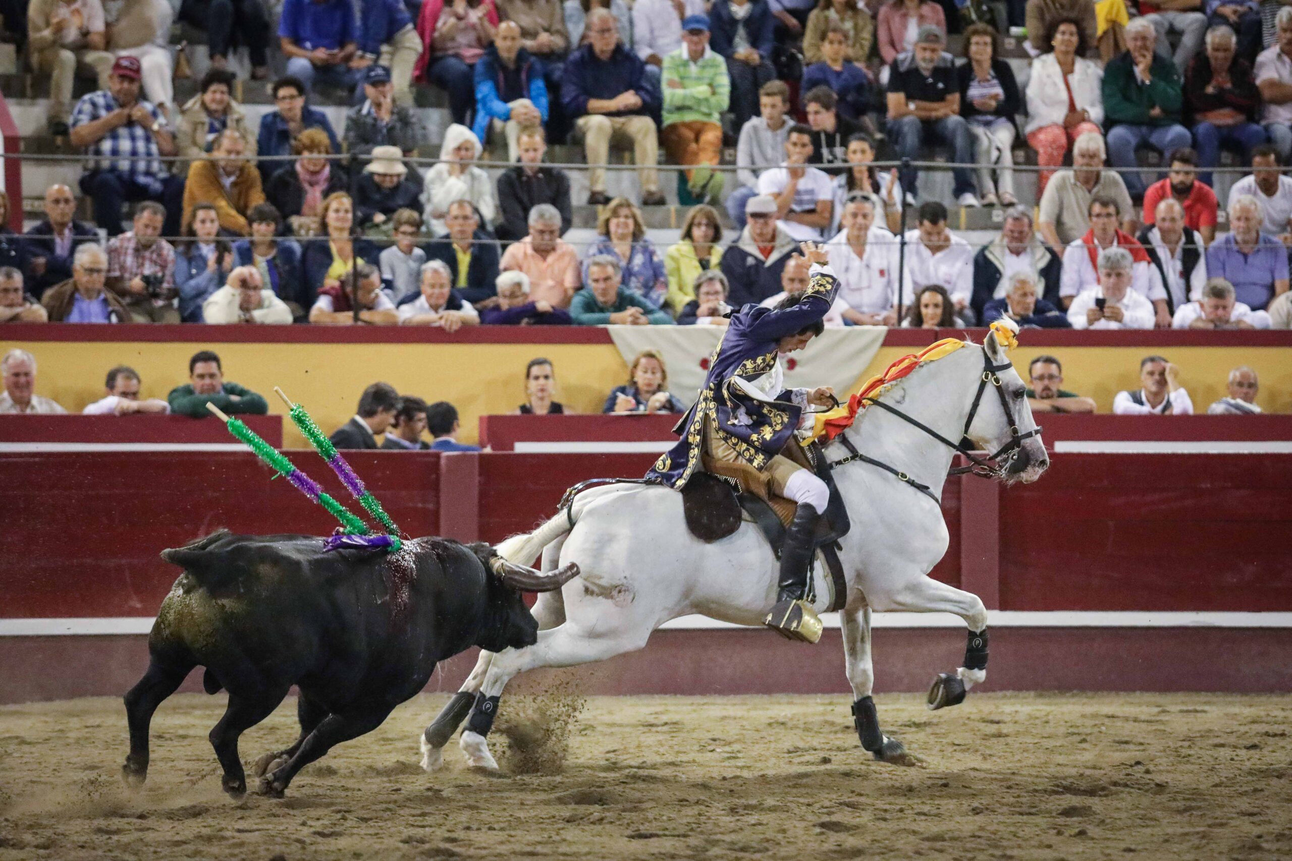 Angra do Heroísmo (Portugal) - Corrida de toros concurso - Viernes 29 de junio de 2018