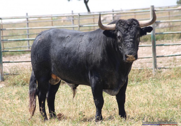 Granada, 3 de junio de 2018