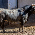 Sorteo, Madrid 3 de junio de 2018