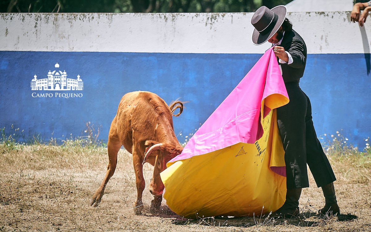 Morante de la Puebla, tentadero en Río Frío