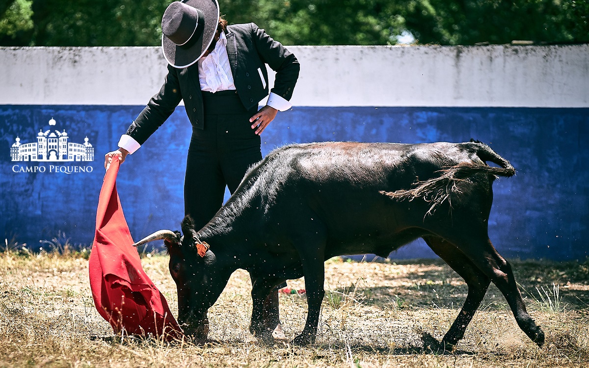 Morante de la Puebla, tentadero en Río Frío
