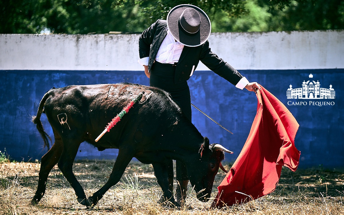 Morante de la Puebla, tentadero en Río Frío