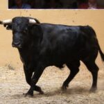 Sorteo, Granada 3 de junio de 2018