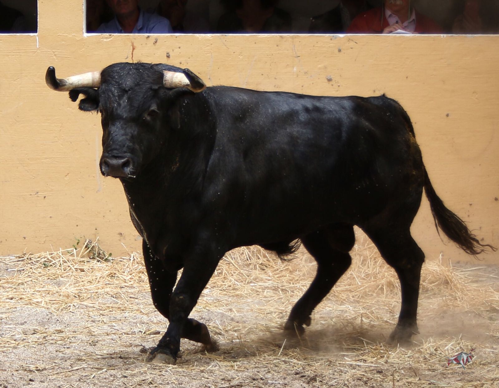 Sorteo, Granada 3 de junio de 2018